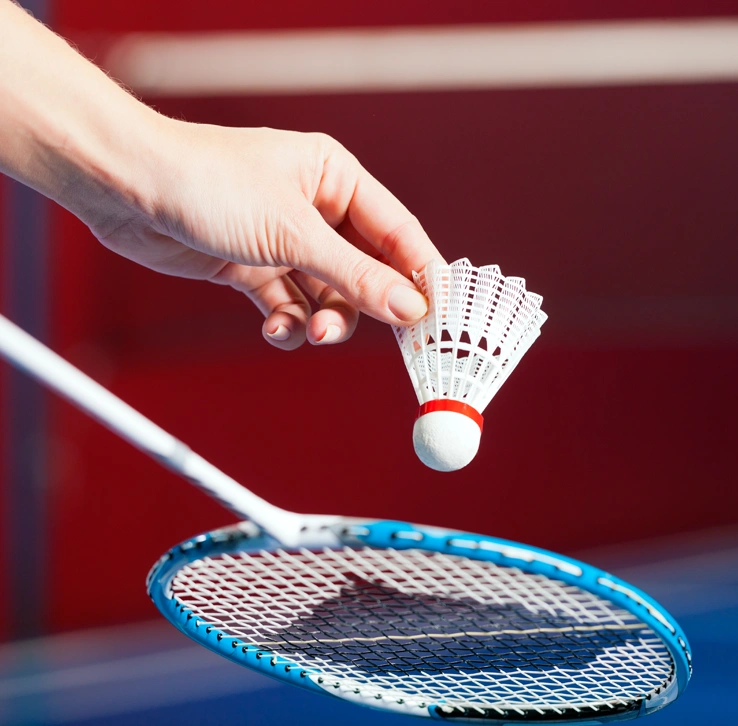 jouer au badminton près d'Arras
